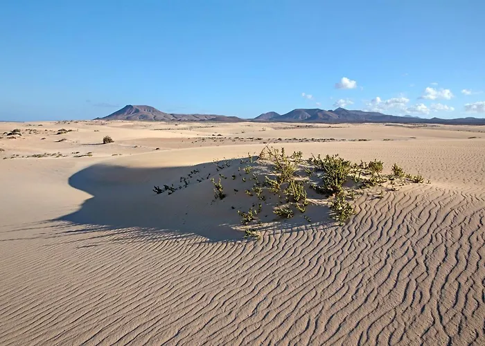 Villa Brisamar19 Corralejo